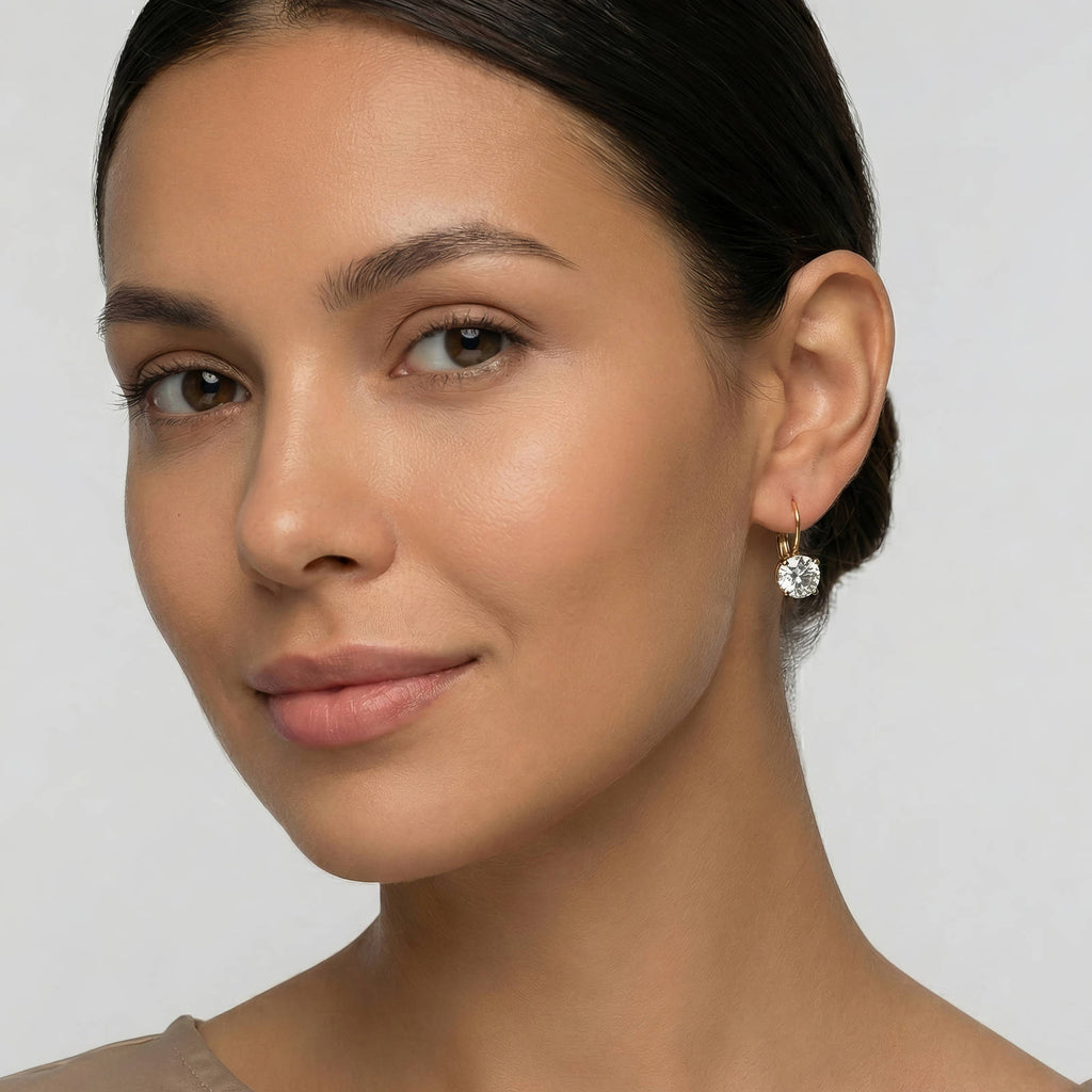 French Hook Earrings – 18K Gold PVD Stainless Steel with Cubic Zirconia